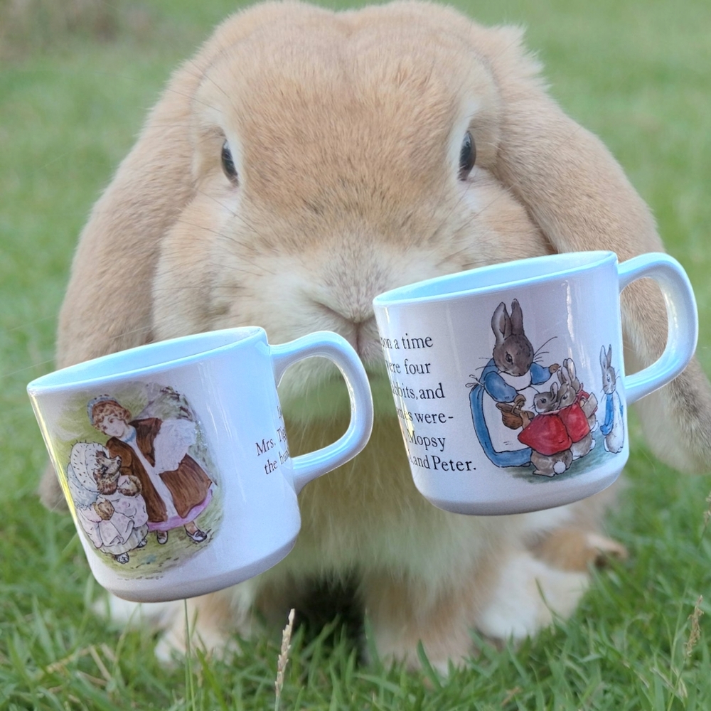 Wedgwood Beatrix Potter 2 Ceramic Bunny Mugs Made in England
